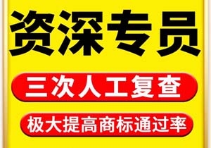 商标驳回复审申请收文是什么意思